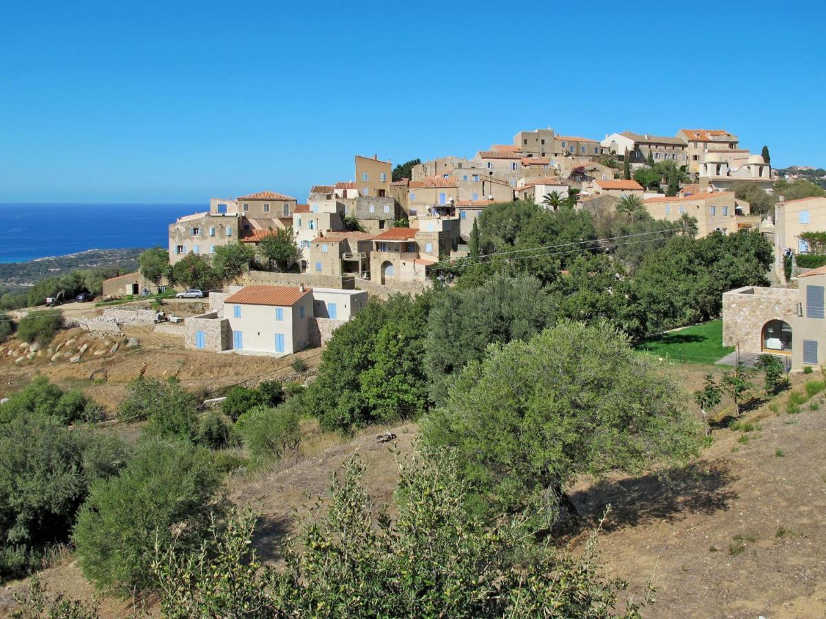Apartment Thalassa - Cal200 By Interhome Corsica Island Luaran gambar