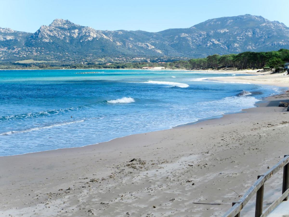 Apartment Thalassa - Cal200 By Interhome Corsica Island Luaran gambar